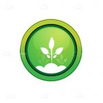 Round Green Button with Abstract Plant Icon